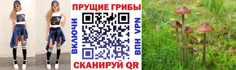 Галлюциногенные грибы GOLDEN TEACHER  Кунгур 